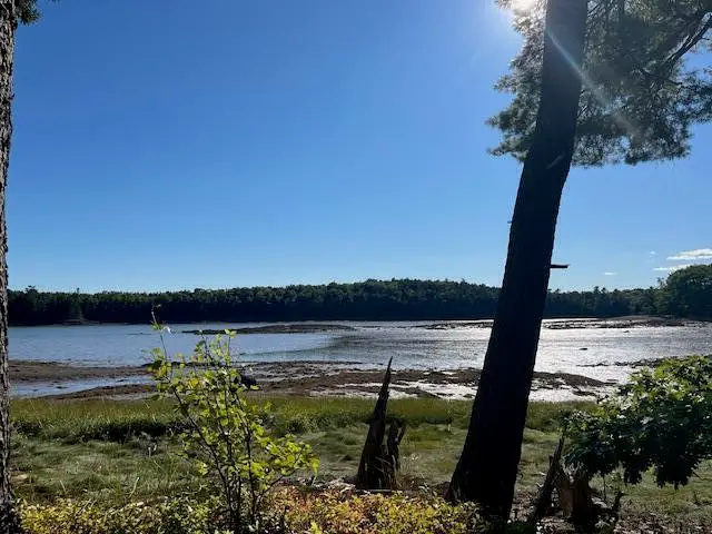 203 Garnet Head Road, Pembroke, ME 04666 - #1