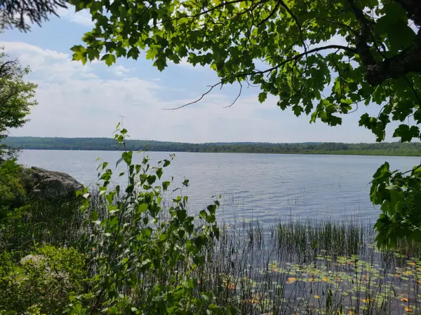 1235 Ayers Junction Road, Charlotte, ME 04666