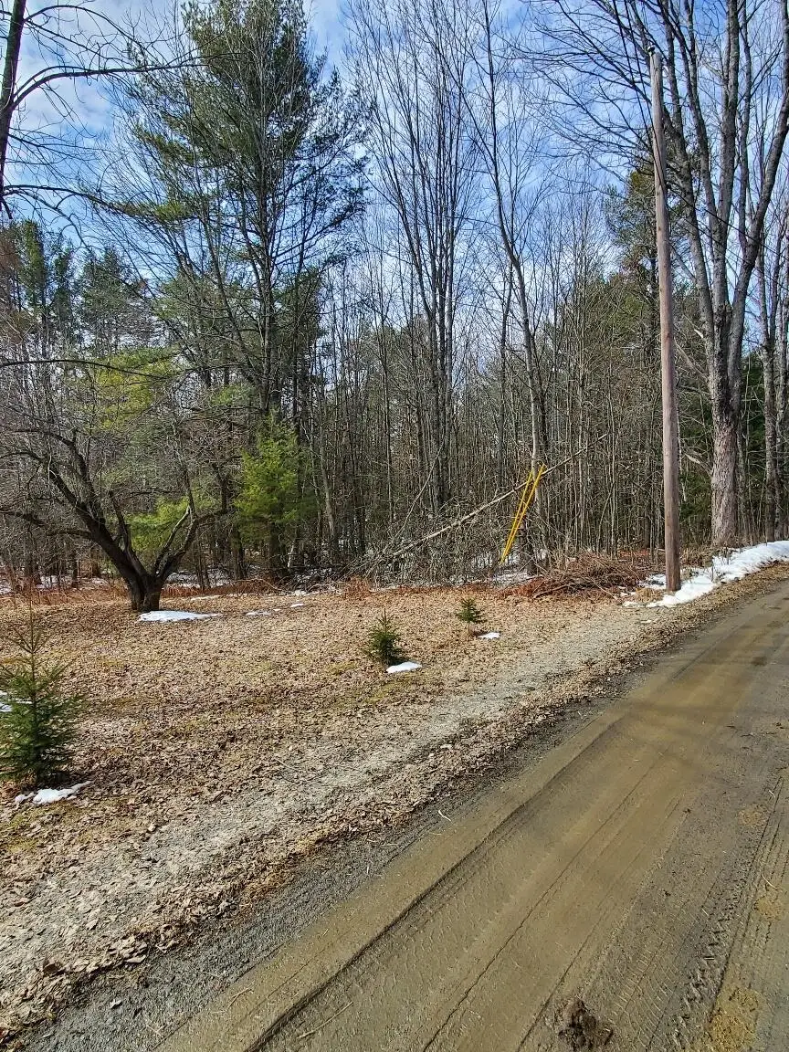 0 Burough Road, Dover Foxcroft, ME 04426 - #2