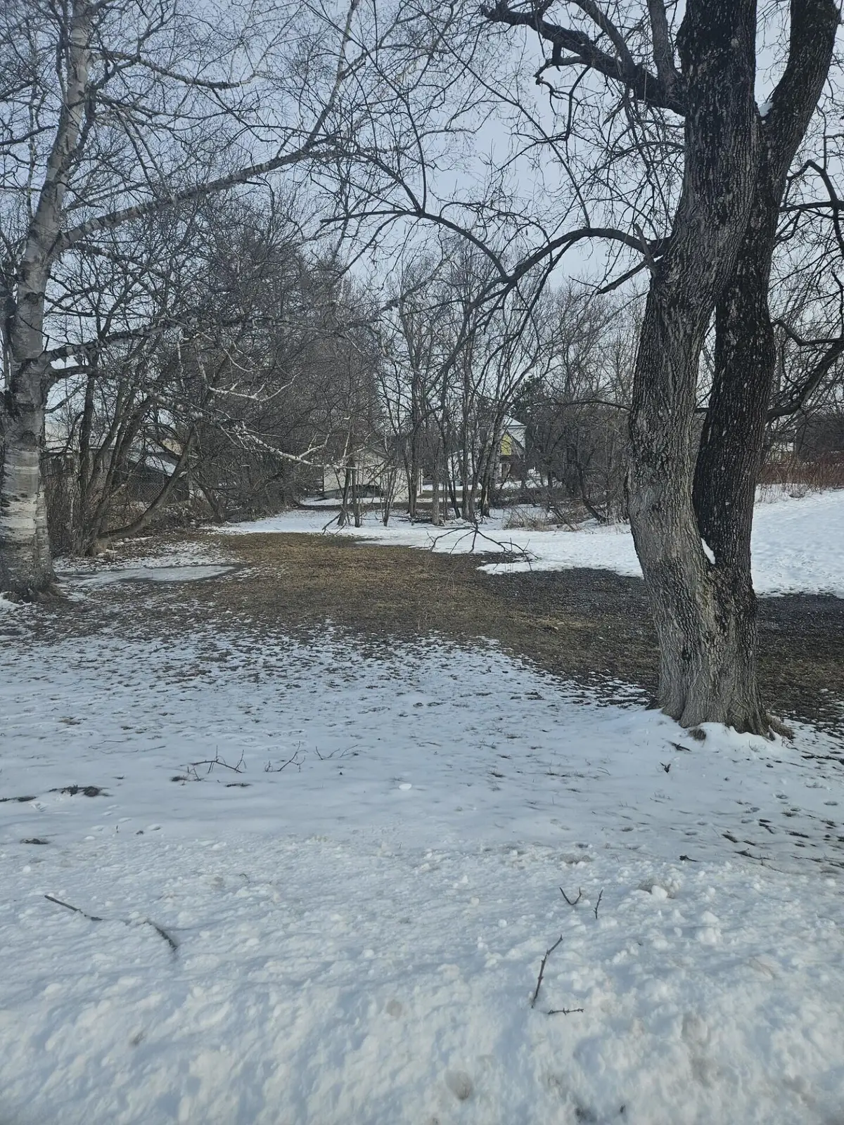 6 Short Street, Caribou, ME 04736 - #1