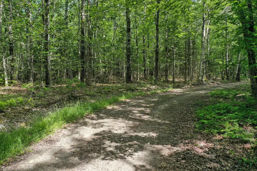 M5 L24 Goosepecker Ridge, Montville, ME 04941 - #3