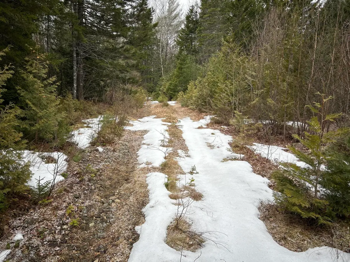 WA31P01L21 Kings Street, Dennysville, ME 04628 - #1