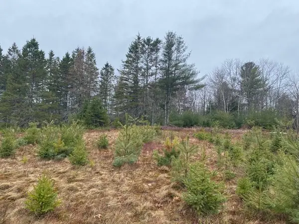 Lot 5 Copeland Hill Road, Holden, ME 04429
