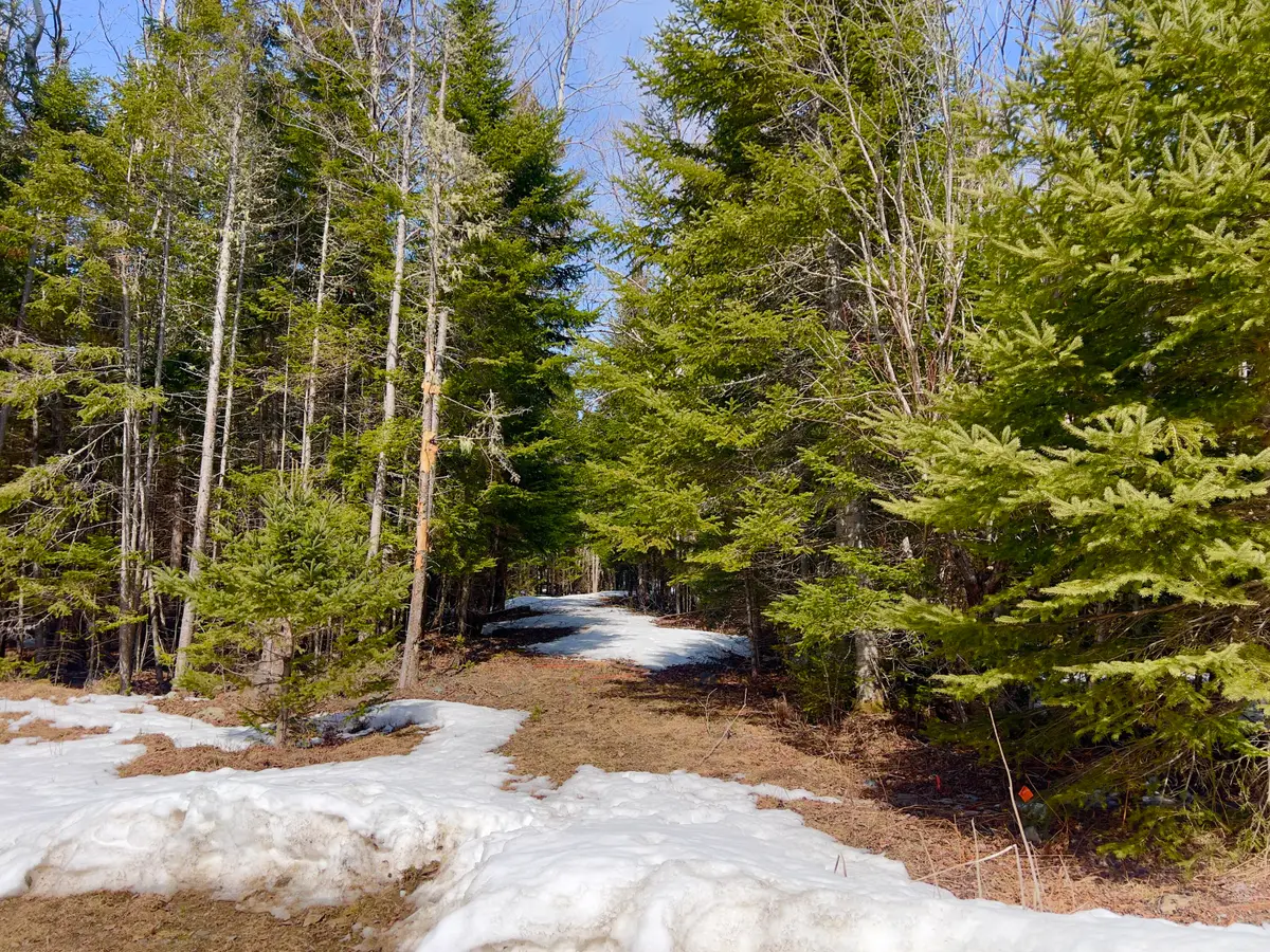 2/001-09A Kendall Farm Trail, Dallas Plt, ME 04970 - #1