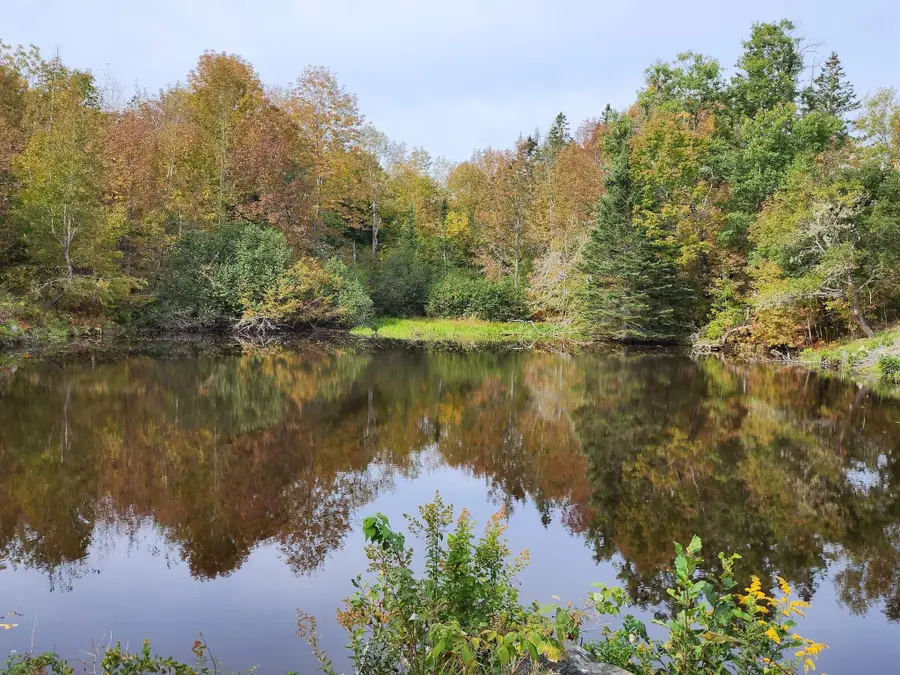 Lot 52 Us- Route 1, Robbinston, ME 04668 - #3