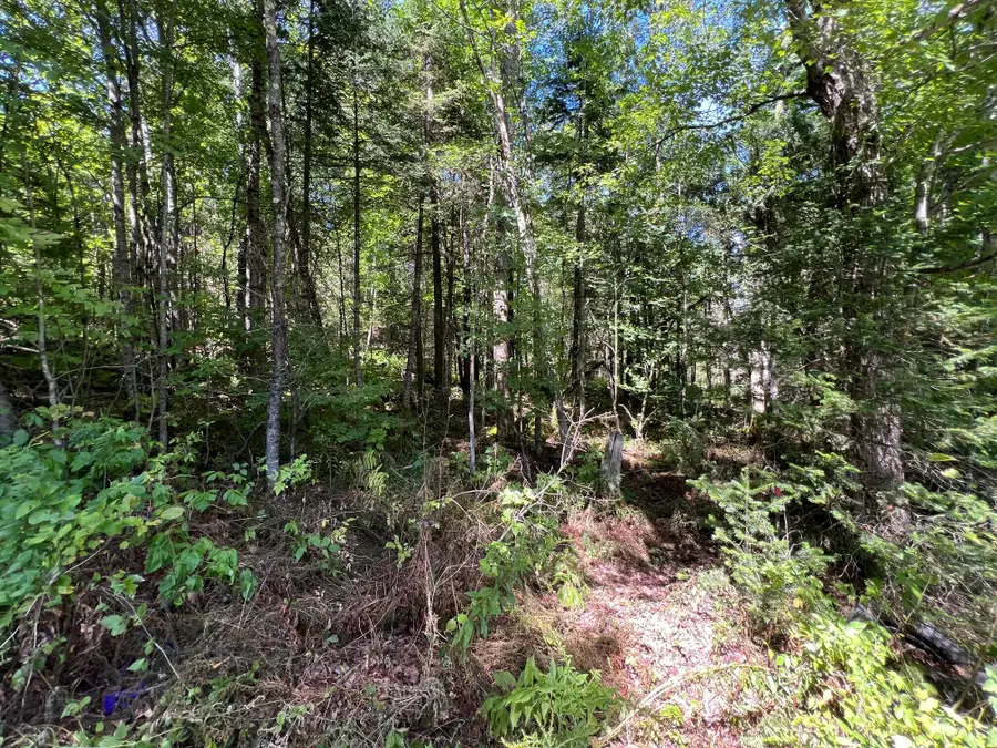 Map 3 Lot 11-12 Beans Corner Road, Hartland, ME 04943 - #3