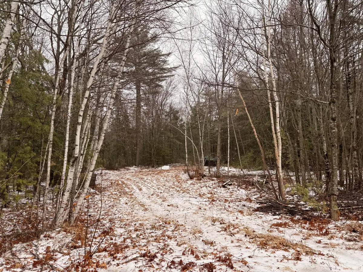 Lot #6 Mohawk Road, Enfield, ME 04493 - #1