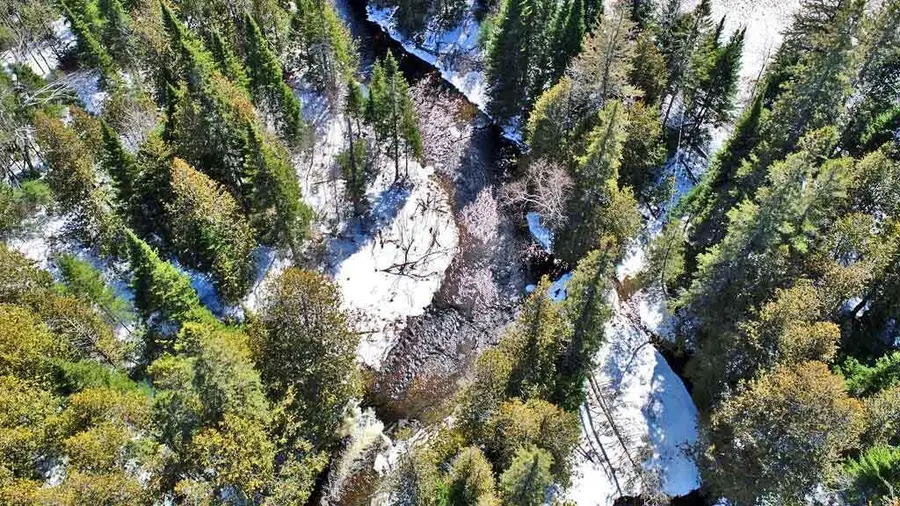 Lot 13 Wilcox Road, South Aroostook, ME 04730 - #3