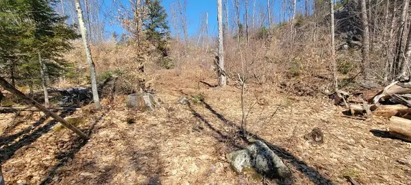 Lot 21 River Road, Avon, ME 04966