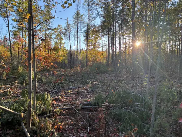 Lot 16 (1) Whittier Road, Farmington, ME 04938