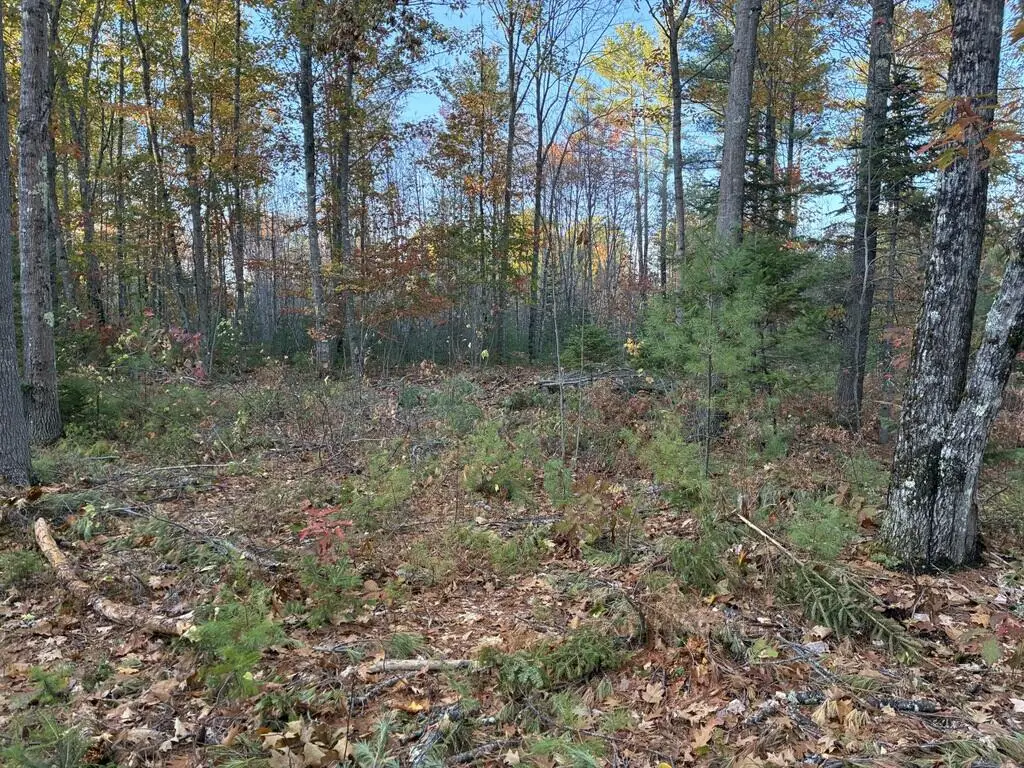 Lot 16 (2) Whittier Road, Farmington, ME 04938 - #1
