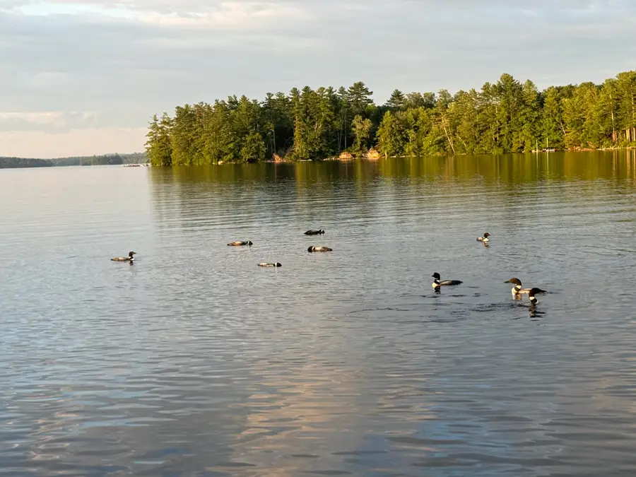 74 Maple Ridge Drive, Monmouth, ME 04259 - #3