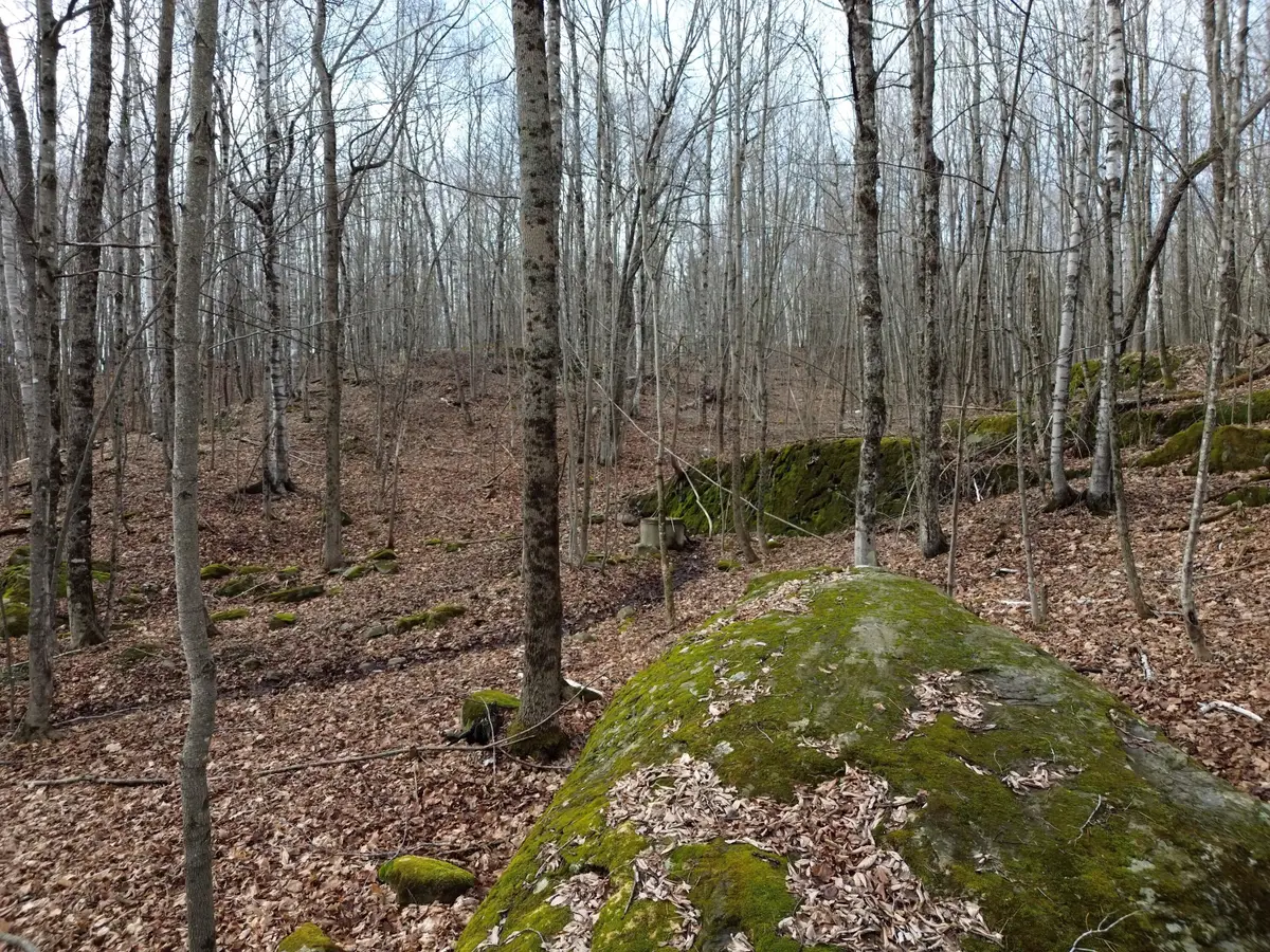 62 Grove Street, Dexter, ME 04930 - #1