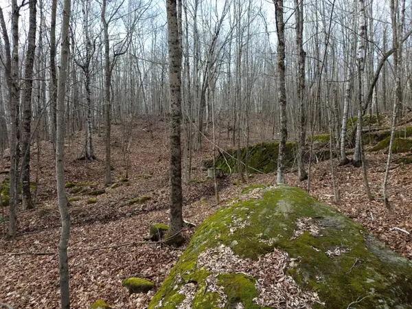 62 Grove Street, Dexter, ME 04930