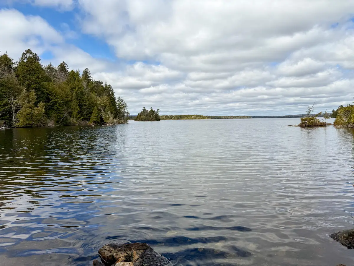 X Smith Cove Road, Cathance Township, ME 04657 - #1
