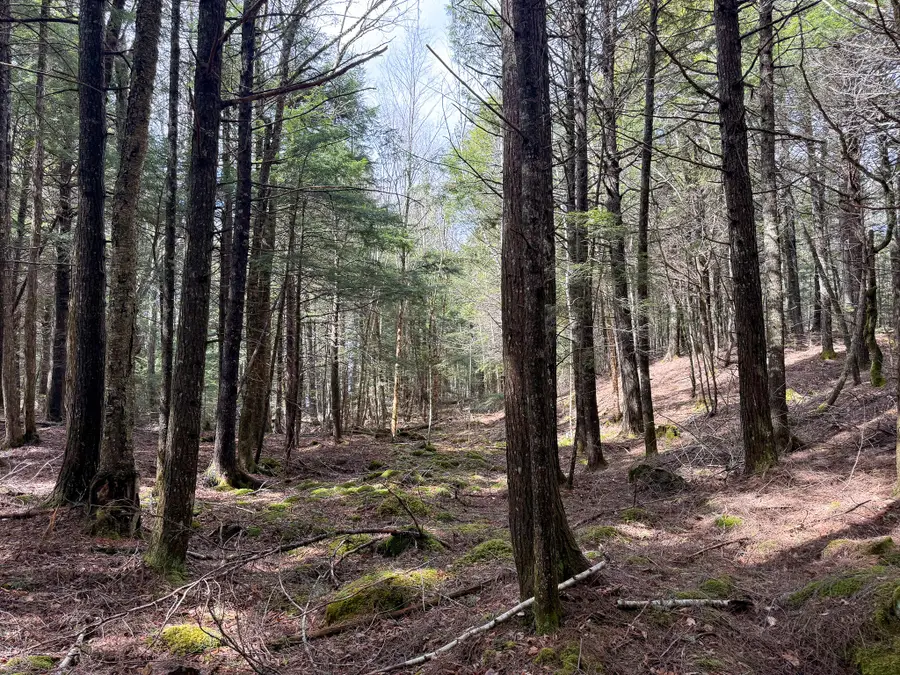 X Smith Cove Road, Cathance Township, ME 04657 - #3