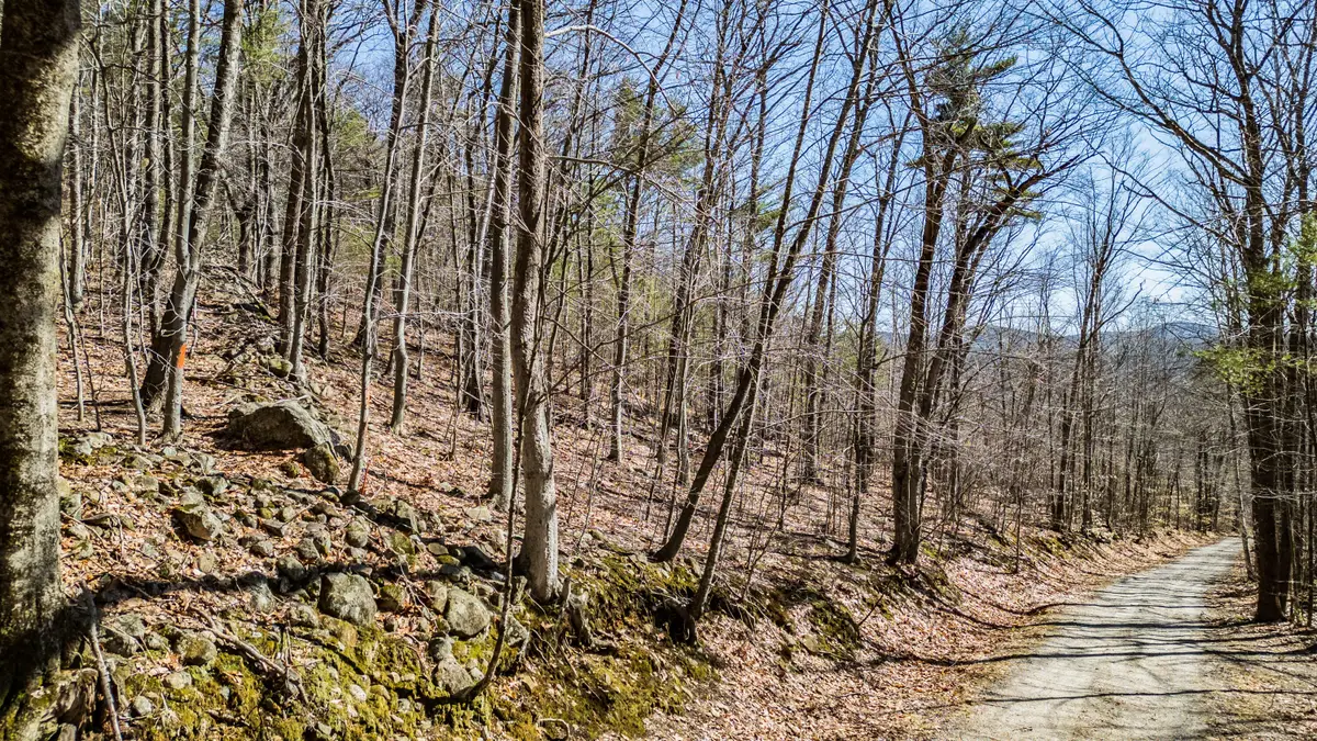 0 King Street/benny Babb Hill Road, Hiram, ME 04041 - #1