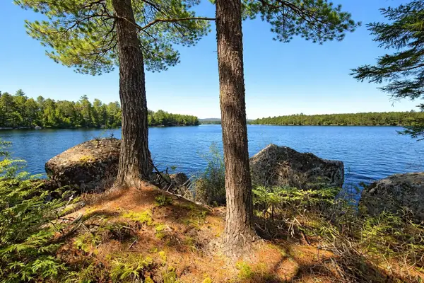 0 Cody Way, Lakeville, ME 04487