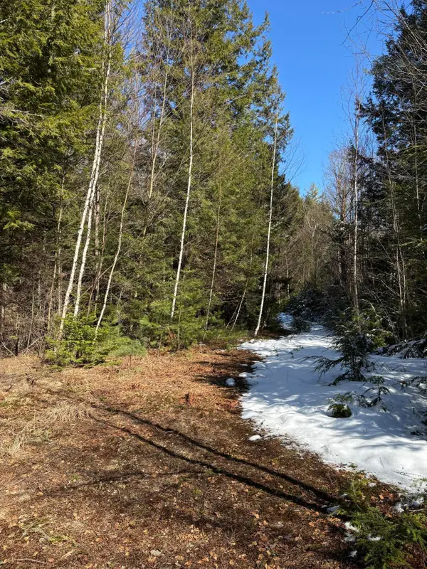 4 Bog Brook Loop, West Paris, ME 04289