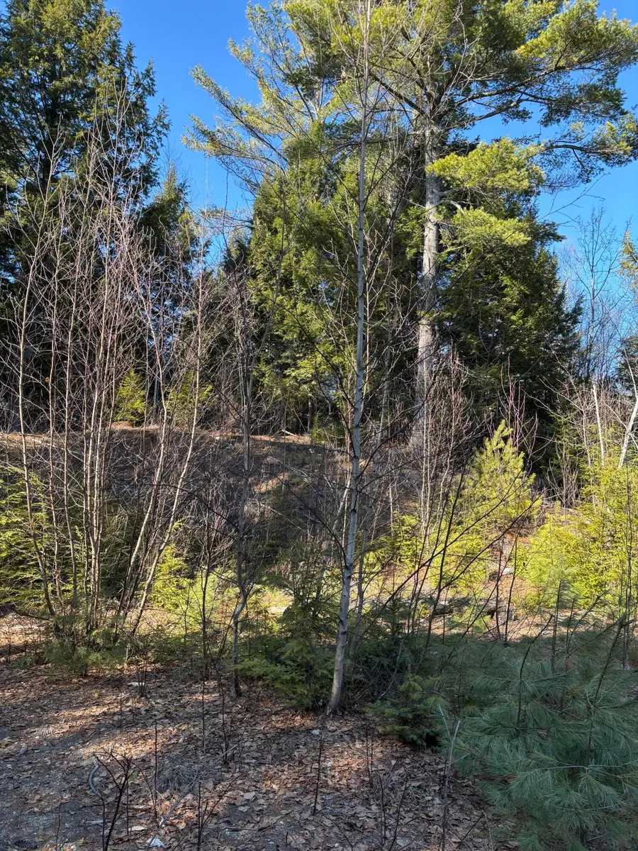 7 Bog Brook Loop, West Paris, ME 04289 - #3