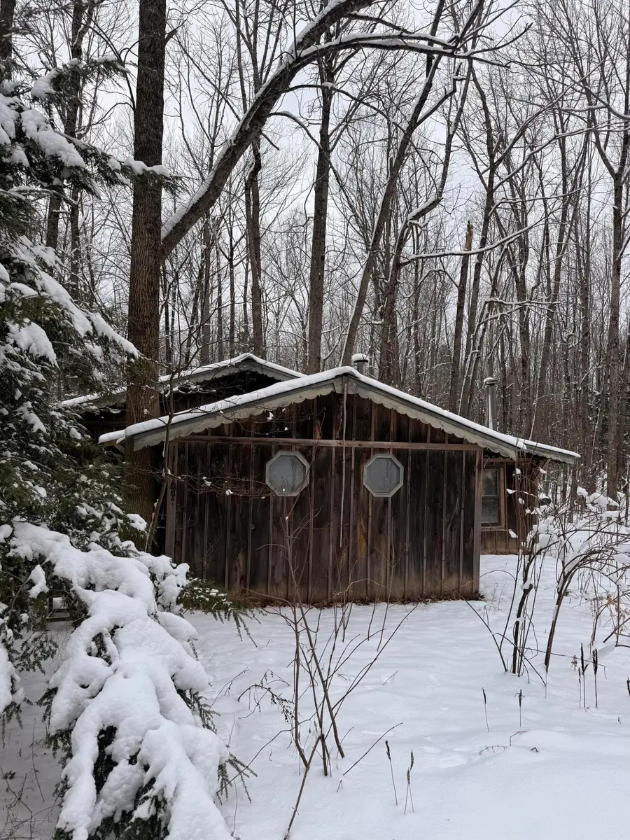 186 Transalpine Road, Lincoln, ME 04457 - #3