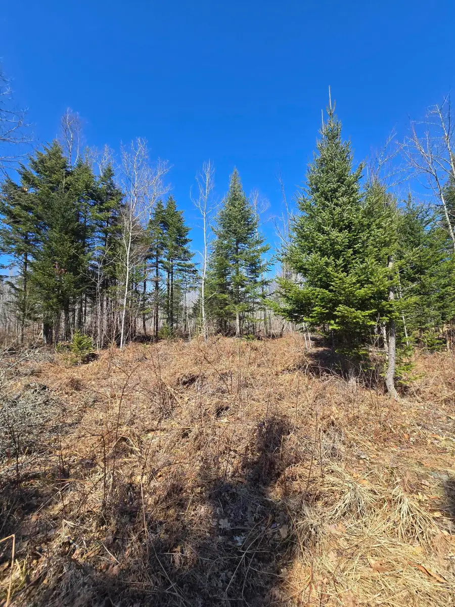00 Chadbourne Road, Harmony, ME 04942 - #2