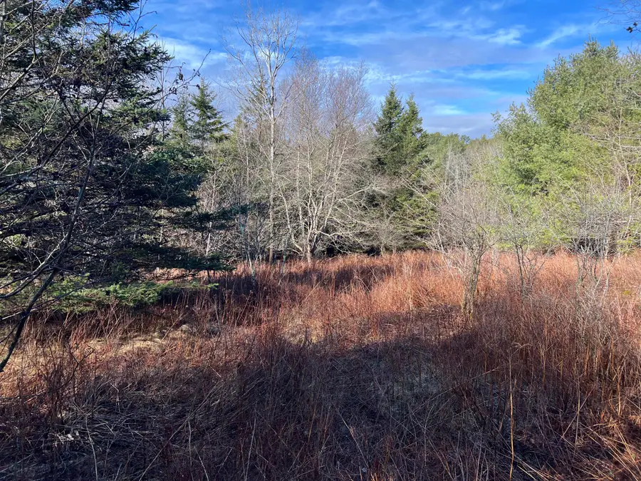 207 Gray Meadow Road, Orland, ME 04472 - #2