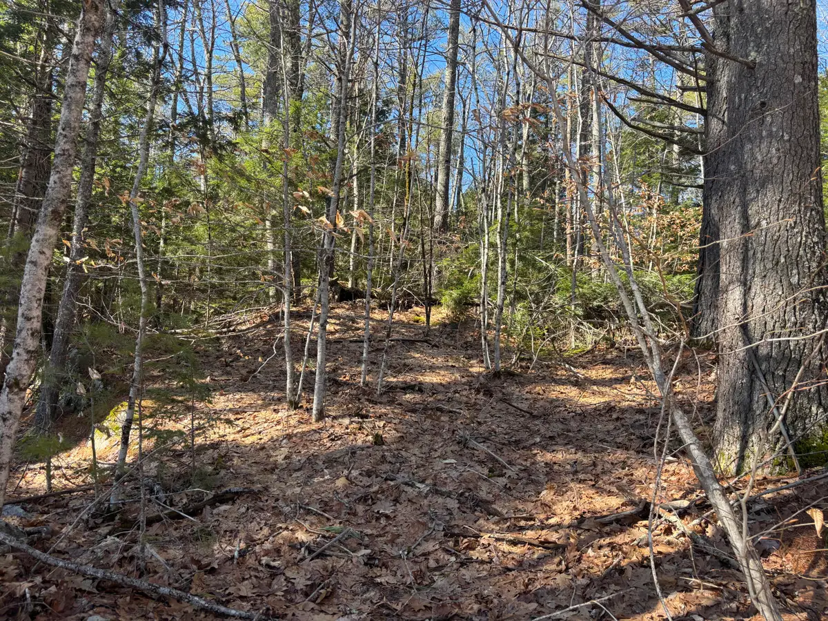 Lot 3 Heath Road, Whitefield, ME 04353 - #1