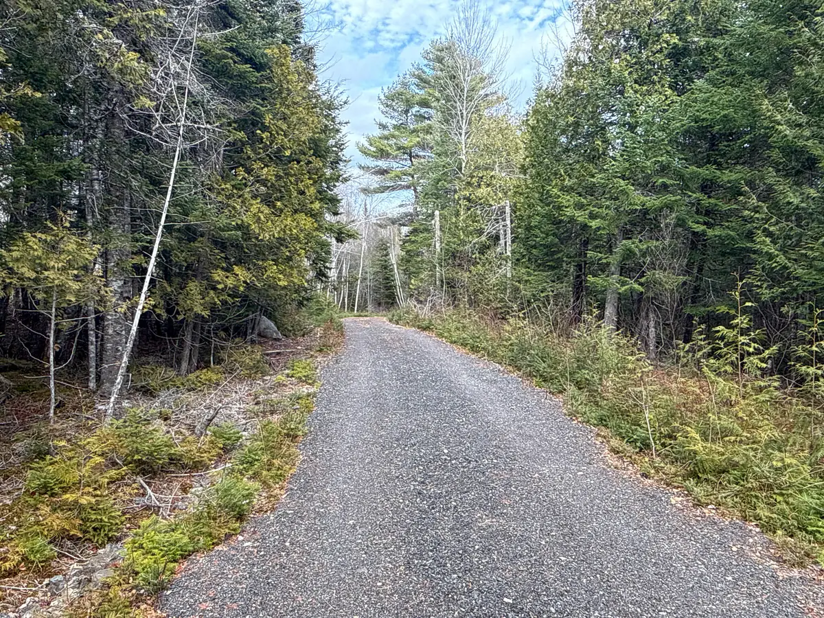 65 Old Steamboat Road, Lee, ME 04455 - #1