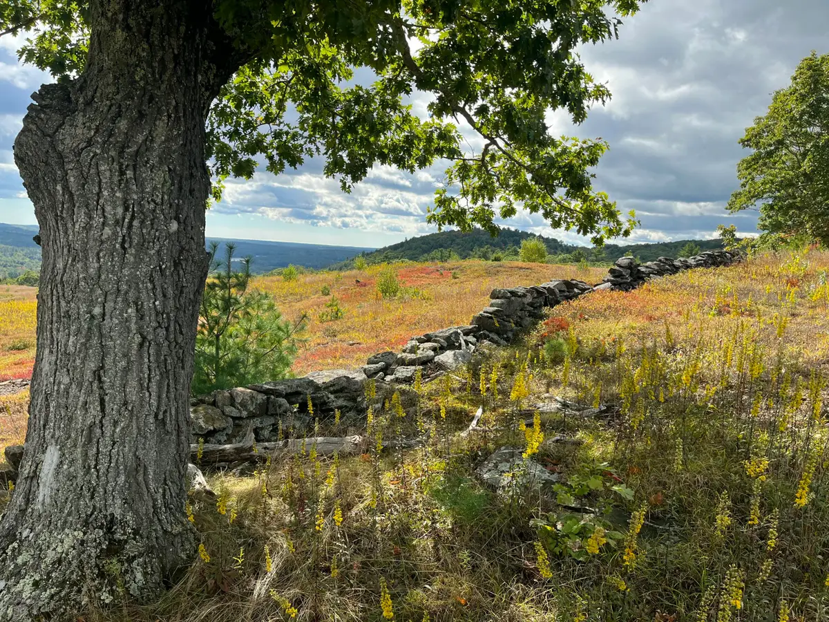 0 Heart Oak Lane, Union, ME 04862 - #1