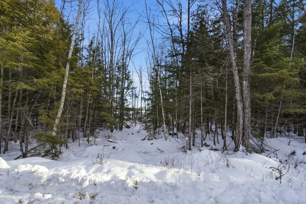 Map 44 Lot 5 Cedar Breeze N, Glenburn, ME 04401 - #1