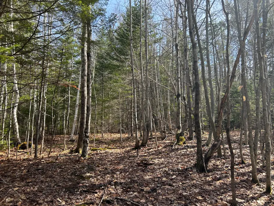 Lot 4 Holley Road, Farmington, ME 04938 - #2