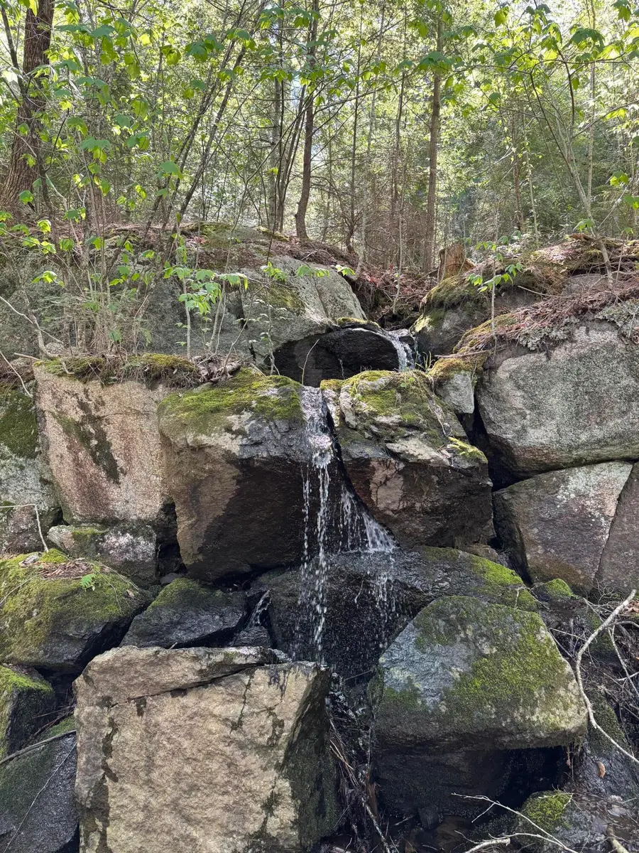Lot 13 Route 9, Aurora, ME 04428 - #2