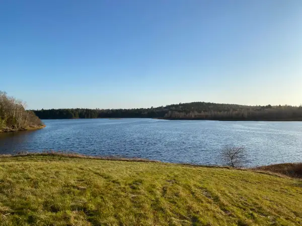 Lot 52 Old Route 1, Jonesboro, ME 04648