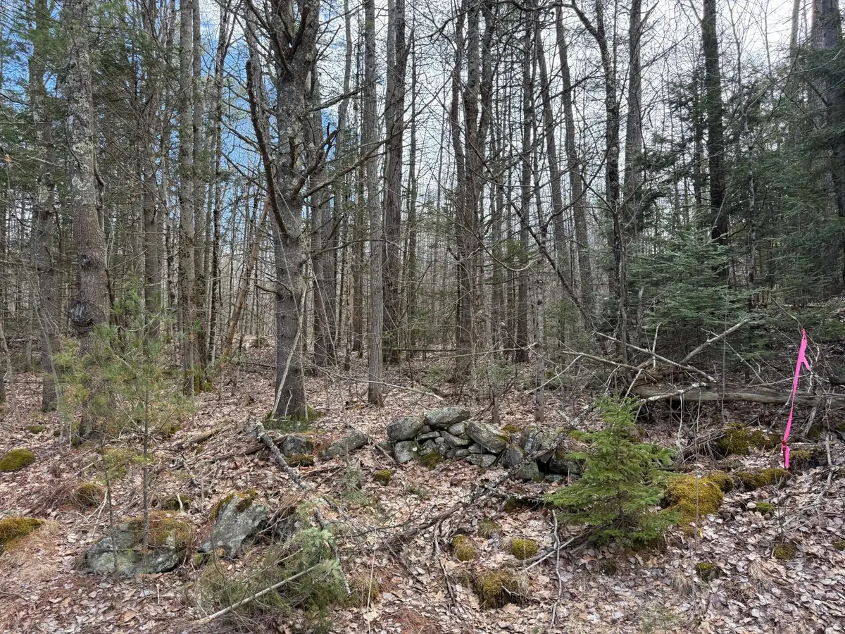 864 Winslows Mills Road, Waldoboro, ME 04572 - #1