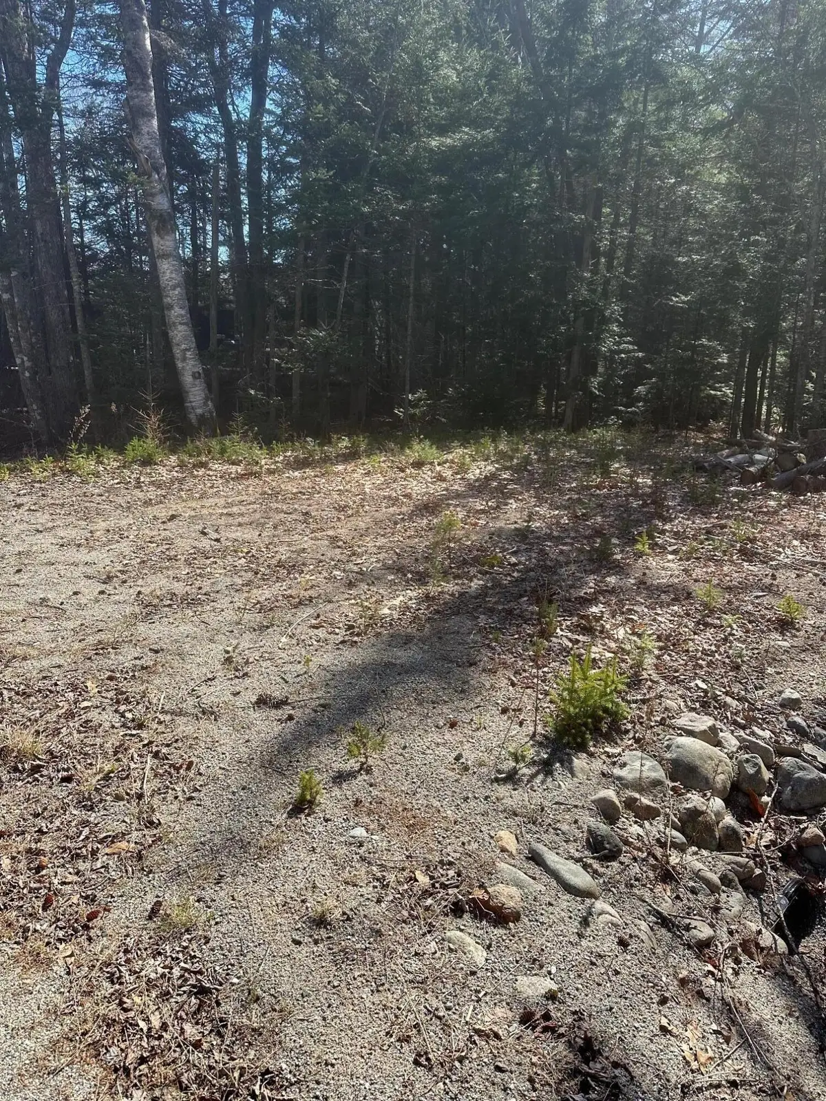 0 Route 1 Route, Gouldsboro, ME 04607 - #1