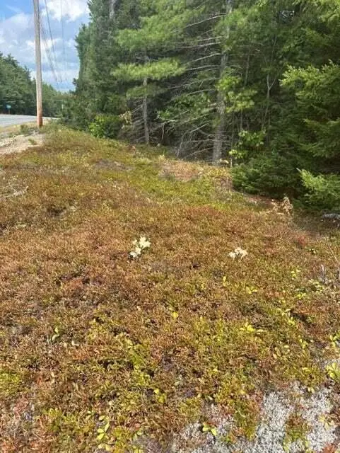 0 Route 1 Route, Gouldsboro, ME 04607 - #3