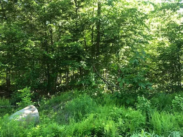 0 Flag Cove Road Road, Bowerbank, ME 04426 - #1