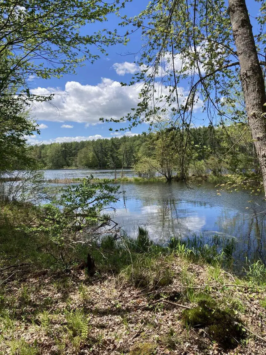 Lot A River Road, Leeds, ME 04263 - #2