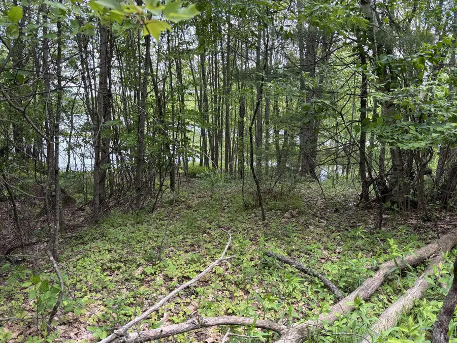 Lot A River Road, Leeds, ME 04263 - #3