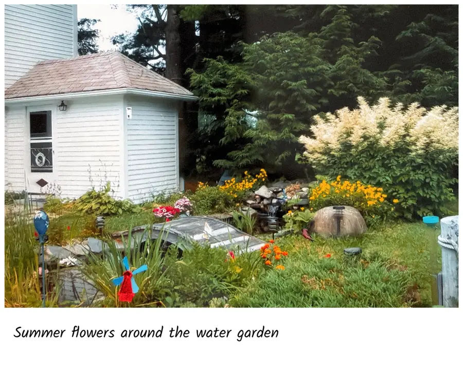 1350 Main Road, Eddington, ME 04428 - #3