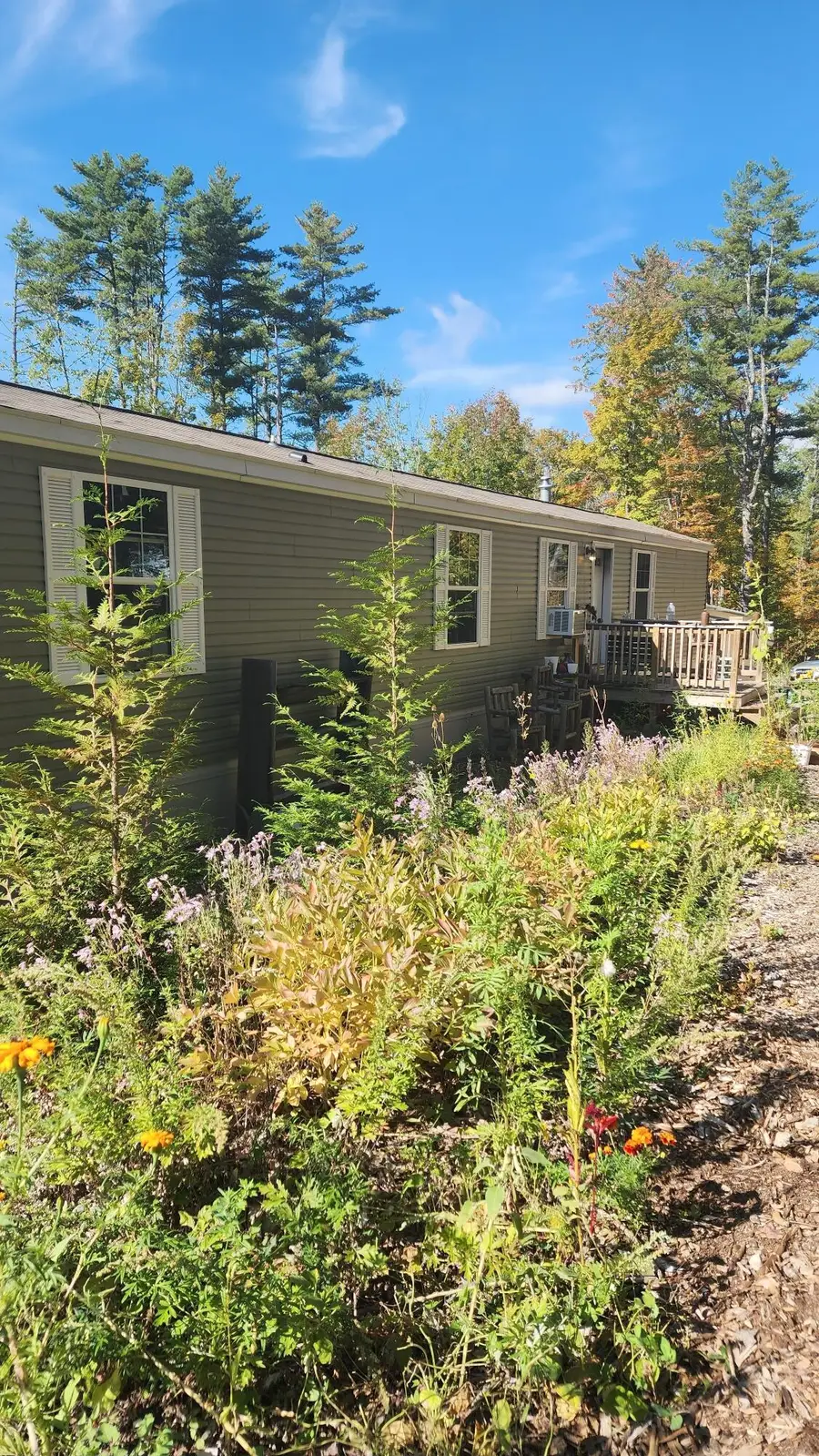 154 Staples Road, Newfield, ME 04095 - #2