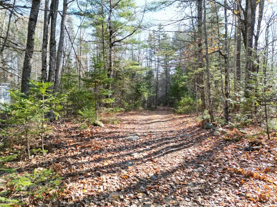 Lot 8A,9A James Way, Lincoln, ME 04457 - #3