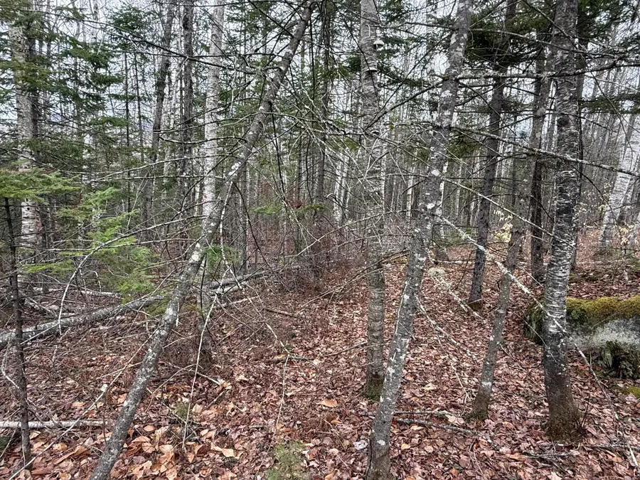 L12 Fuller Road, Carthage, ME 04224 - #3