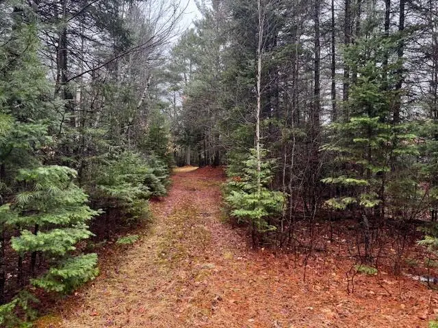 SO 001 Plan 2 Lot 16.1 Long Falls Dam Road, Central Somerset, ME 04961 - #1