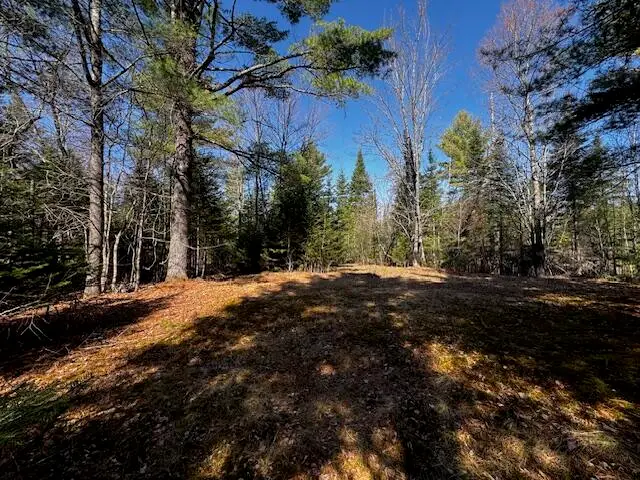 SO 001 Plan 2 Lot 16.1 Long Falls Dam Road, Central Somerset, ME 04961 - #2