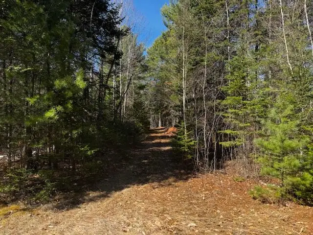 SO 001 Plan 2 Lot 16.1 Long Falls Dam Road, Central Somerset, ME 04961 - #3