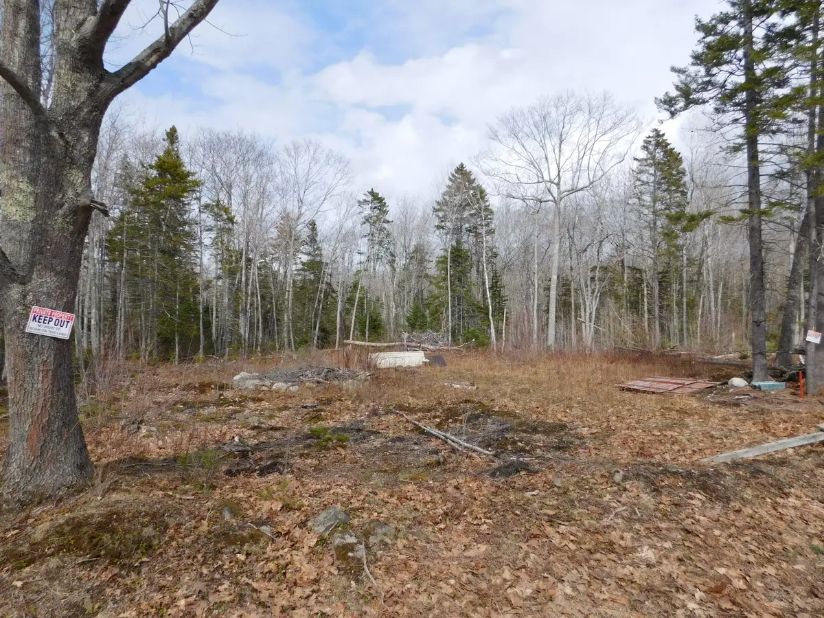 Lot # 0 Beech Hill Road, Northport, ME 04849 - #1