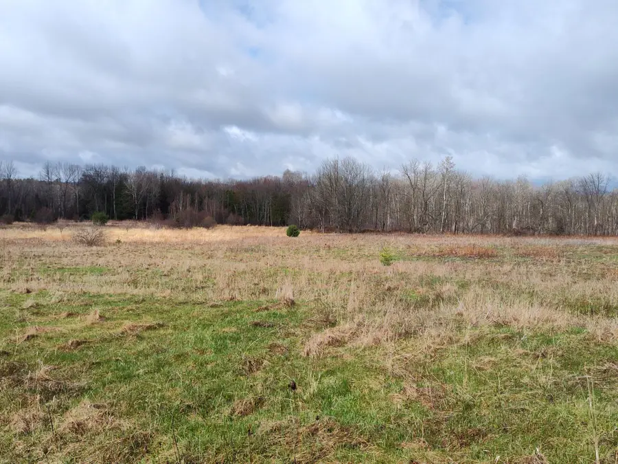018B Greenbush Road, Corinna, ME 04928 - #3