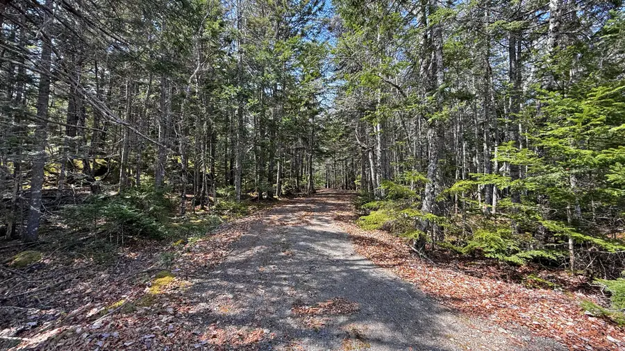 185 Coffins Neck Road, Lubec, ME 04691 - #3
